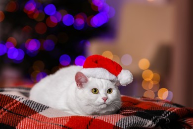 Photo of Adorable cat wearing Christmas hat on blanket indoors. Space for text