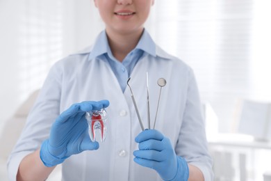 Dental assistant holding tooth model and tools in clinic, closeup