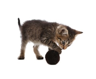 Cute little kitten playing with ball on white background. Pet toy