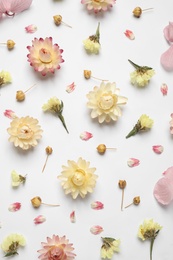 Beautiful fresh and dry flowers on white background, flat lay