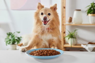 Cute Pomeranian spitz at table with dry dog food indoors