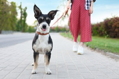 Woman walking her cute dog on city street, closeup