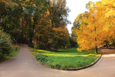 Photo of Pathway and trees in beautiful park on autumn day