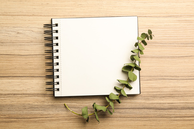 Stylish notebook and eucalyptus on wooden table, top view