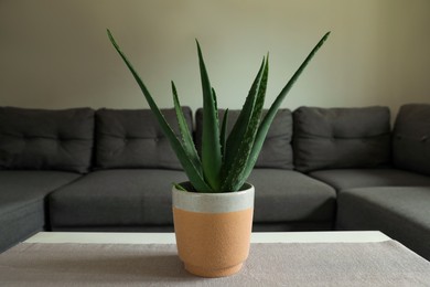 Beautiful potted aloe vera plant on table in living room