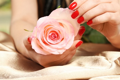 Woman holding rose in manicured hands with red nail polish on fabric, closeup