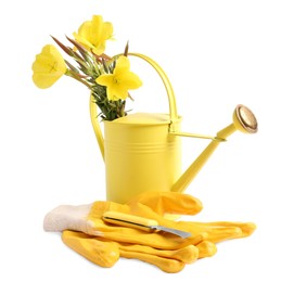 Pair of gloves, gardening tools and blooming plant on white background