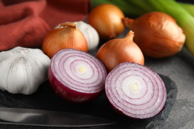 Fresh whole and cut onions, leek, garlic on grey table, closeup