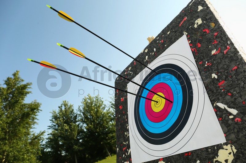 Arrows in archery target outdoors, closeup view