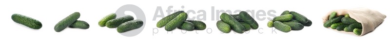 Set with whole ripe cucumbers on white background. Banner design