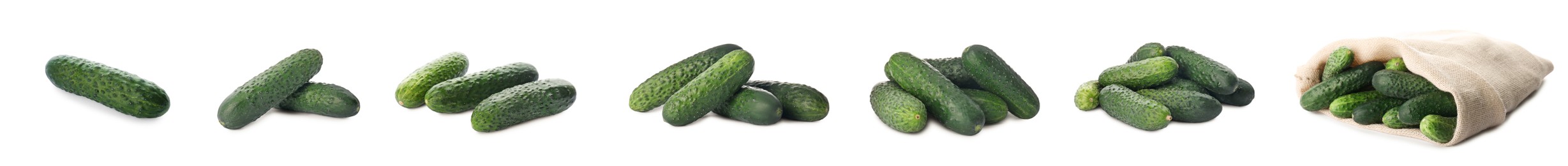 Set with whole ripe cucumbers on white background. Banner design