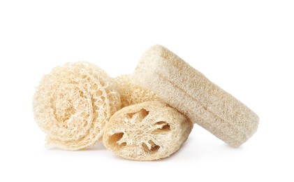Photo of Natural shower loofah sponges on white background