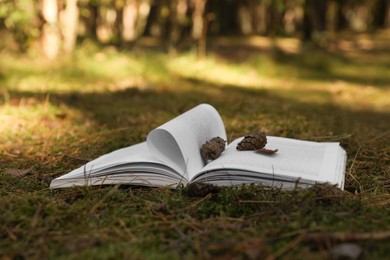 Open book and cones on grass outdoors