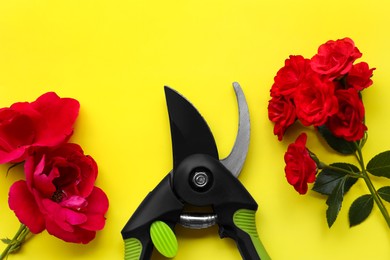 Photo of Secateur and beautiful red roses on light yellow background, flat lay