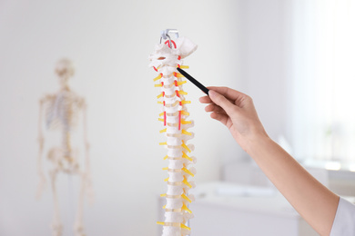 Orthopedist pointing on human spine model in clinic, closeup
