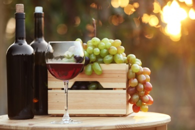 Bottles and glass of red wine with fresh grapes on wooden table in vineyard