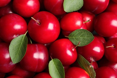 Fresh ripe cherry plums as background, closeup
