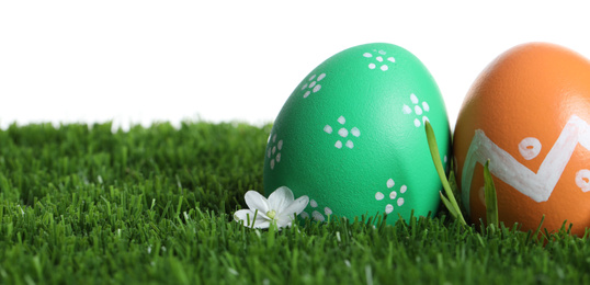 Colorful Easter eggs and flower on green grass against white background, closeup
