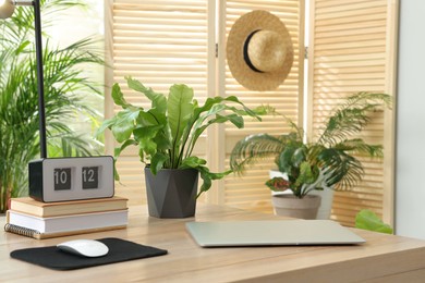 Comfortable workplace with clock, laptop and houseplant indoors