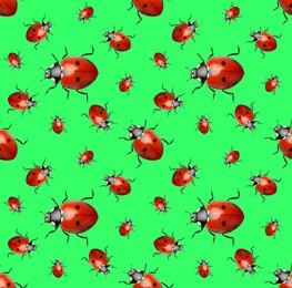 Many red ladybugs on green background, flat lay 