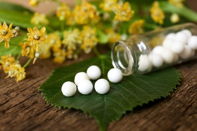 Bottle of homeopathic remedy, linden flowers and leaves on wooden background, closeup