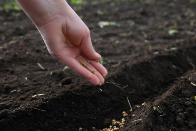 Man pouring beet seeds into fertile soil outdoors, closeup