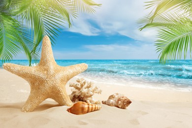Beautiful sea stars and seashells on sandy beach 