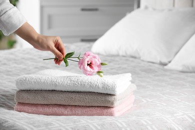 Woman putting beautiful flower on soft towels indoors, closeup