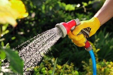 Man watering plants from hose in garden, closeup
