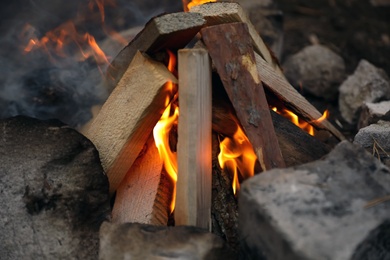Beautiful bonfire with burning firewood outdoors, closeup