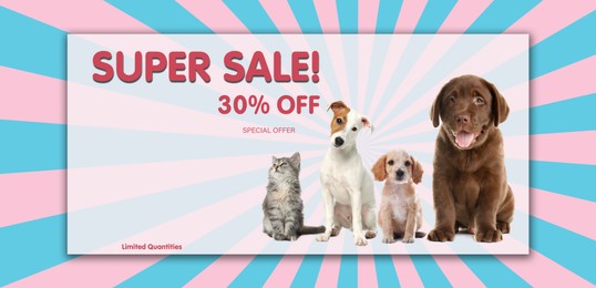 Advertising poster Pet Shop SALE. Cute cat, dogs and discount offer on color background, banner design
