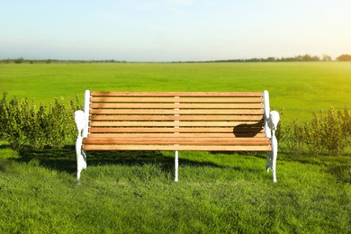 Photo of Beautiful park with green lawn and wooden bench on sunny day