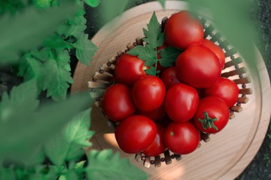 Bowl with fresh tomatoes on wooden board outdoors, top view