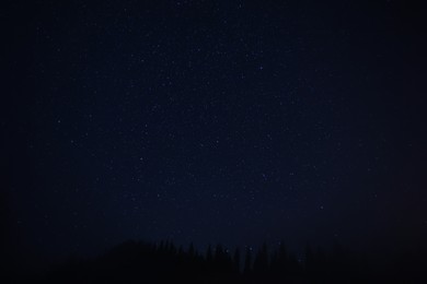 Beautiful view of starry sky over dark forest at night