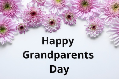 Beautiful violet flowers and phrase Happy Grandparents Day on white background, flat lay