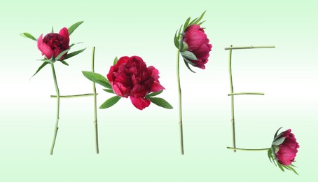 Word HOPE made with beautiful peonies on light background