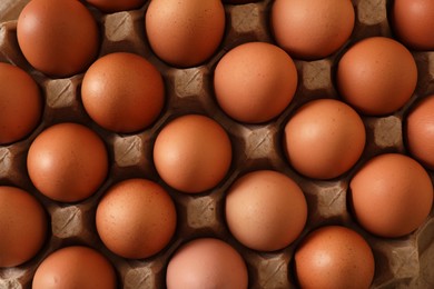 Photo of Raw chicken eggs in carton on table, top view