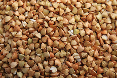 Closeup view of organic green buckwheat as background