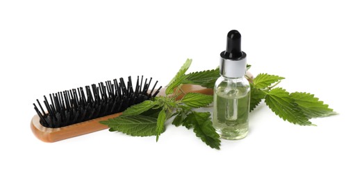 Photo of Stinging nettle extract in bottle, green leaves and brush on white background. Natural hair care