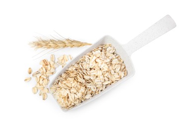 Raw oatmeal, scoop and spikelet on white background, top view