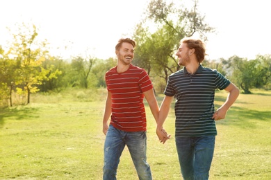 Happy gay couple walking in countryside on sunny day