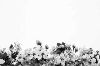 Image of Beautiful spring tree blossoms on light background, top view. Black and white tone 