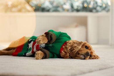 Adorable Cocker Spaniel in Christmas sweater on blurred background