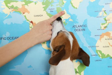 Woman with dog pointing at location on world map, closeup. Travel with pet concept