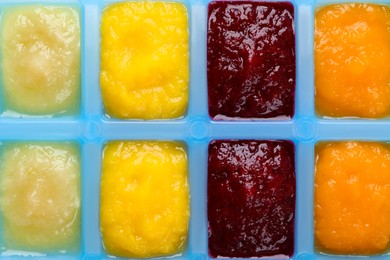 Different purees in ice cube tray, closeup. Ready for freezing