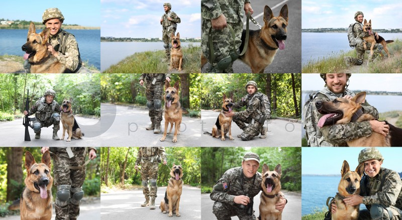 Image of Collage with photos of people with service dogs, banner design