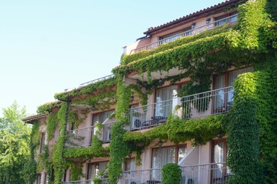 Exterior of beautiful residential building overgrown with green plants