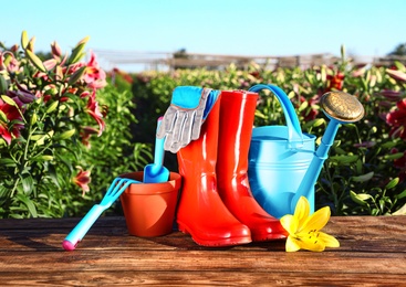 Gardening tools, rubber boots and fresh lily on wooden table in flower field