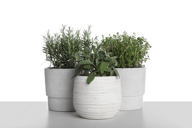 Pots with thyme, sage and rosemary on white background