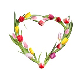 Beautiful heart shaped composition made with bright tulips on white background